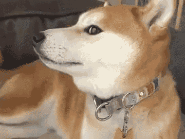 98.gif