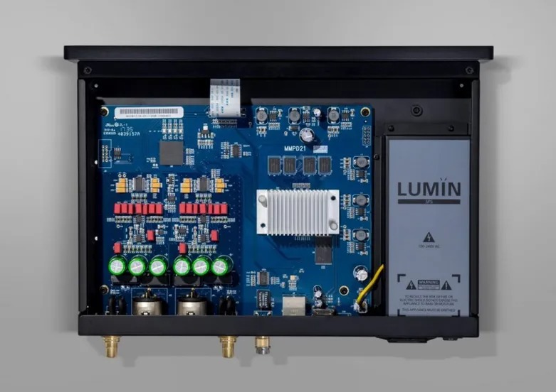 LUMIN D2.jpg