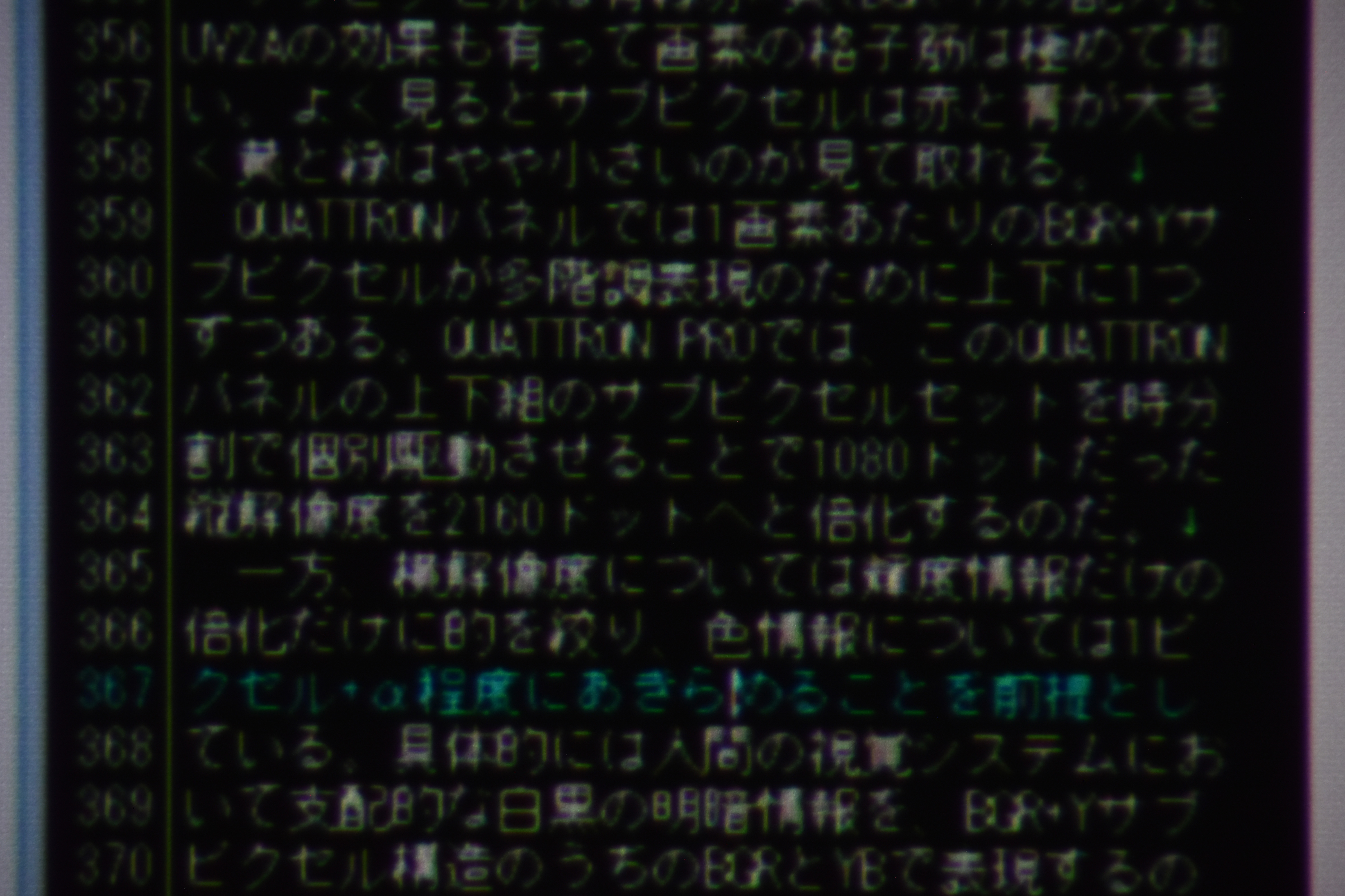 DSC_0065.jpg