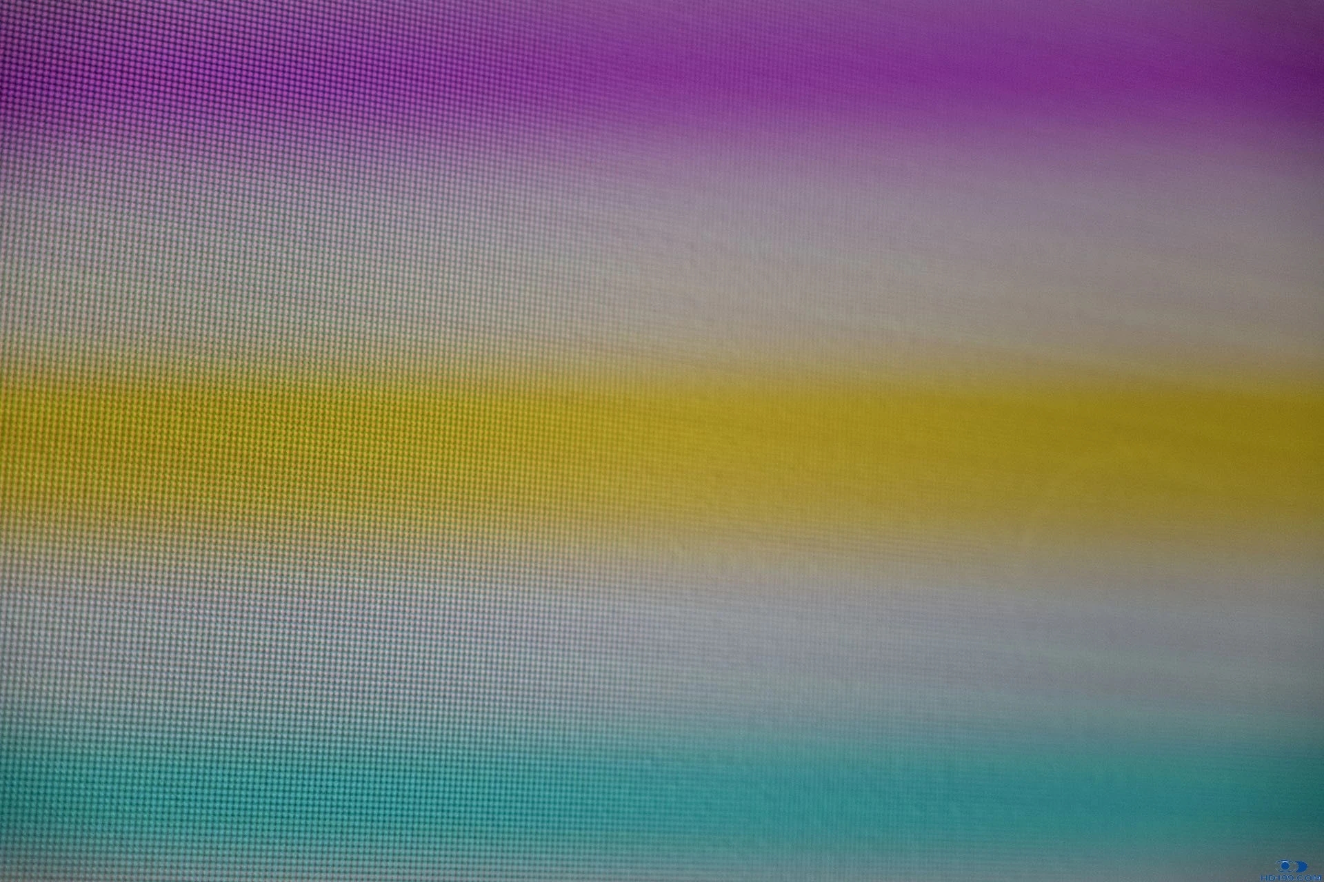 42.webp.jpg