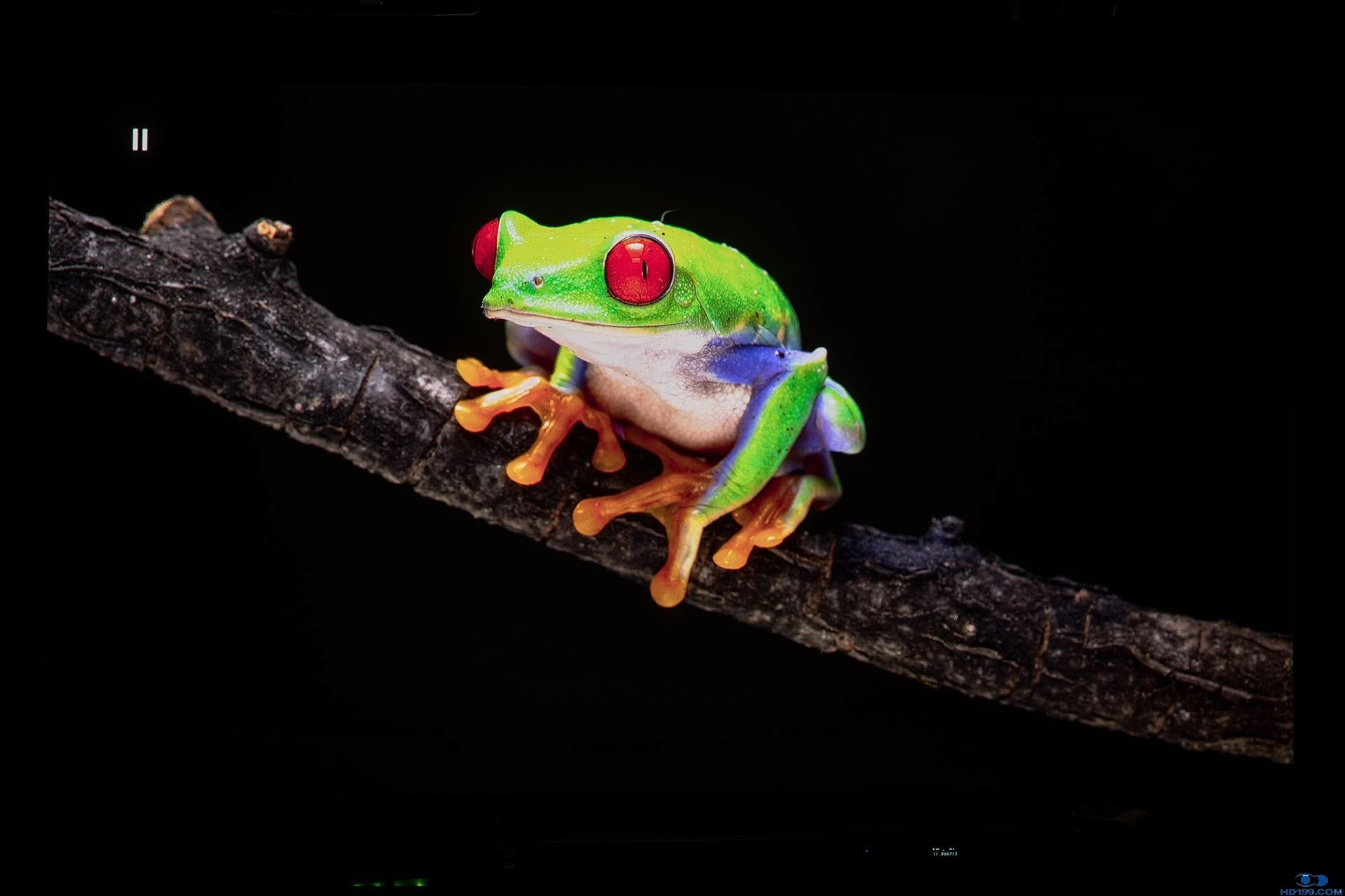 47.webp.jpg