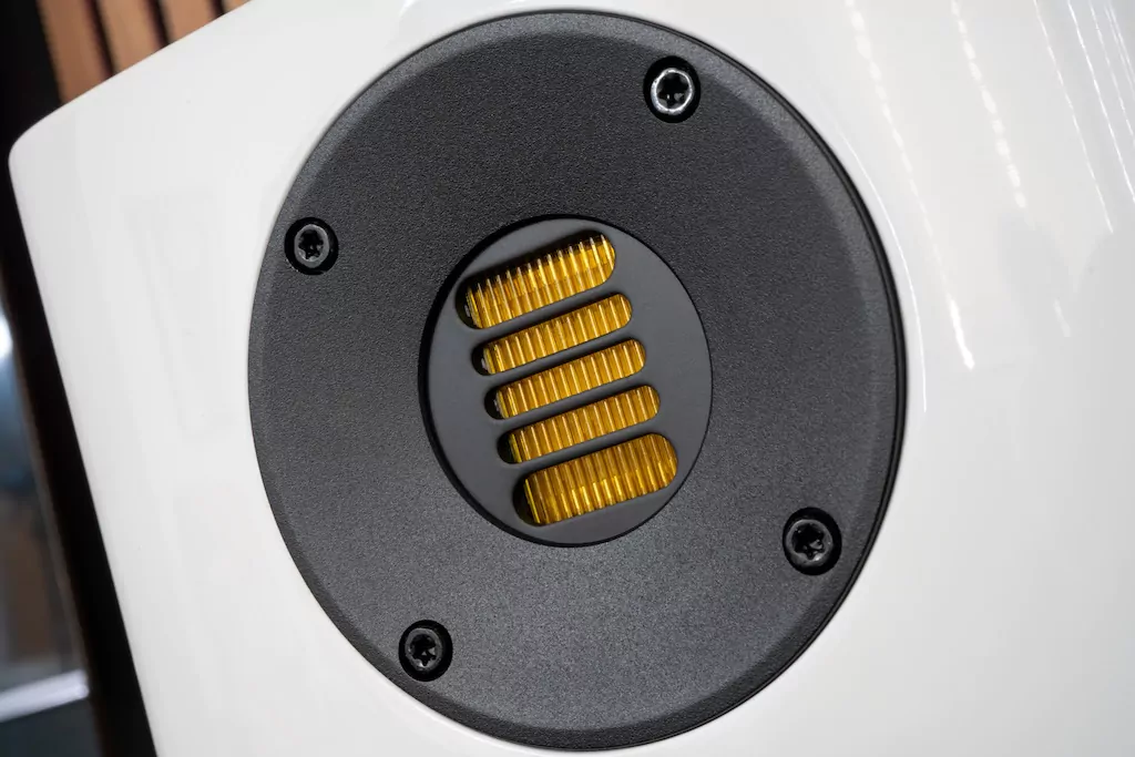 365231129.Elac-08.jpg.png