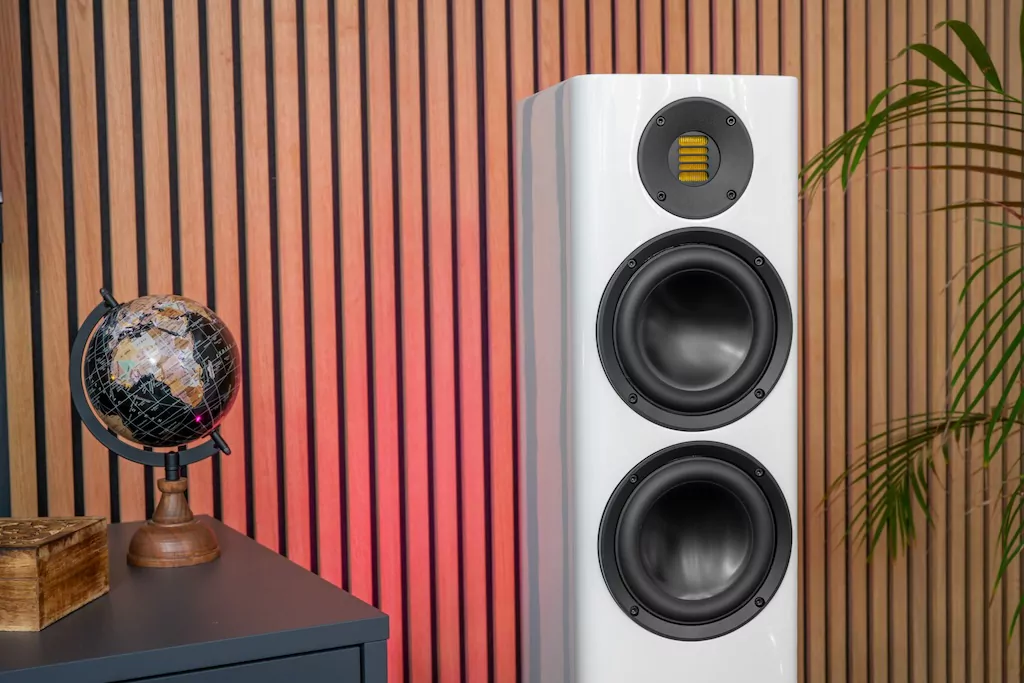 365231129.Elac-04.jpg.png