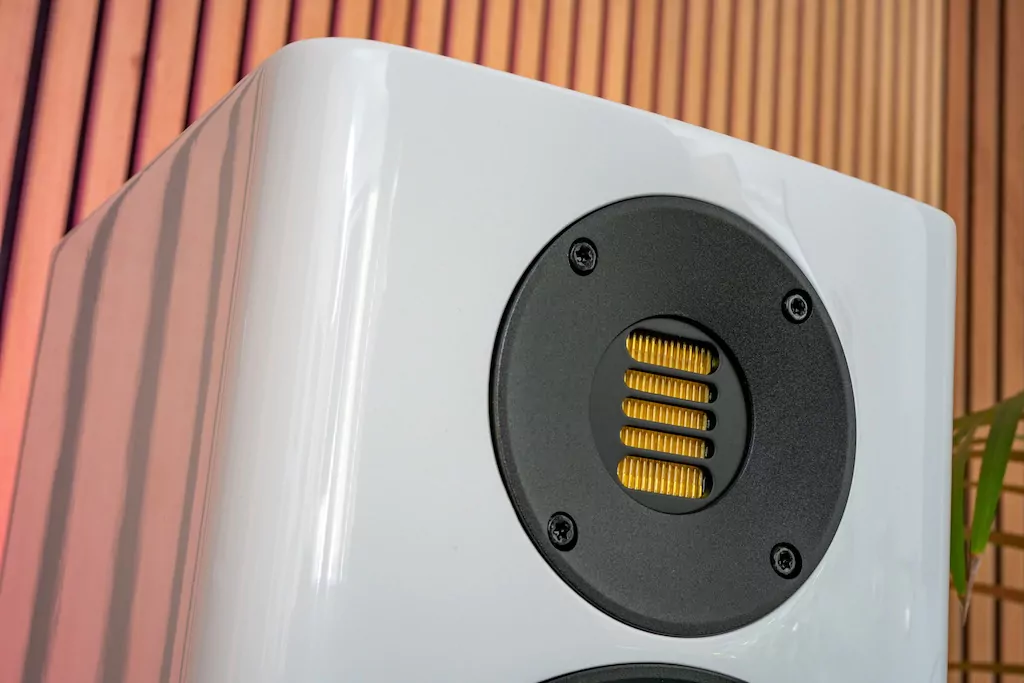 365231129.Elac-06.jpg.png